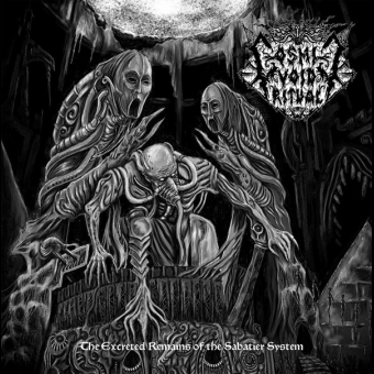 COSMIC VOID RITUAL The Excreted Remains Of The Sabatier System (BLACK) [VINYL 12"]